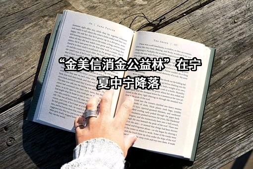 厦门金美信消费金融有限责任公司