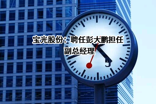 宝光股份：聘任彭大鹏担任副总经理