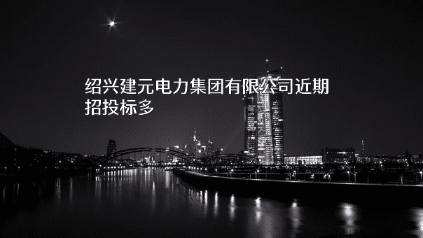 绍兴建元电力集团有限公司