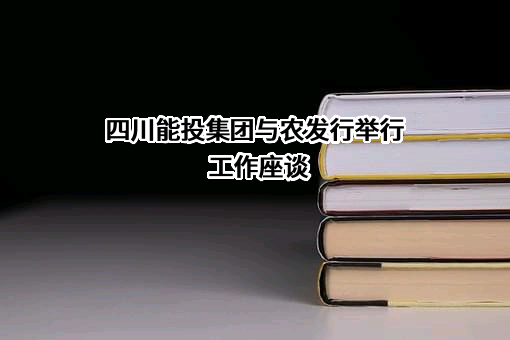 四川能投建工集团水利水电工程有限公司