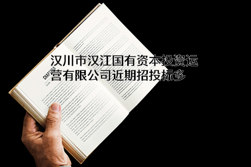 汉川市汉江国有资本投资运营有限公司