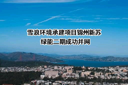 无锡雪浪环境科技股份有限公司