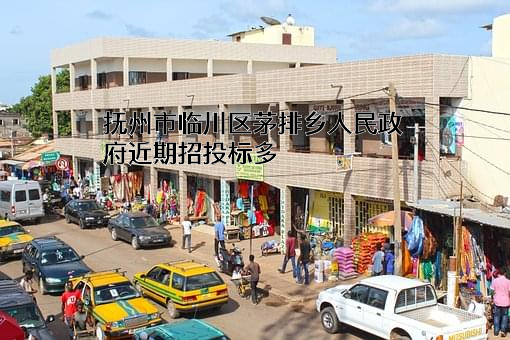 抚州市临川区茅排乡人民政府