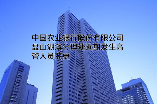 中国农业银行股份有限公司盘山湖滨分理处