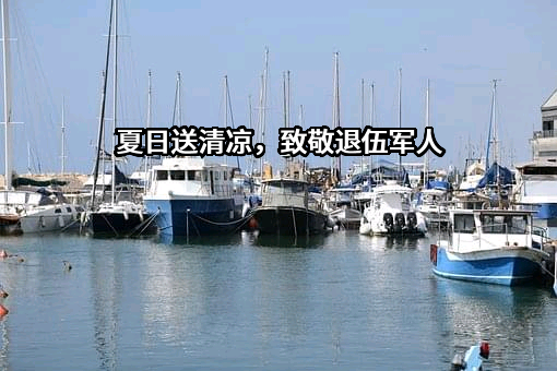 夏日送清凉，致敬退伍军人