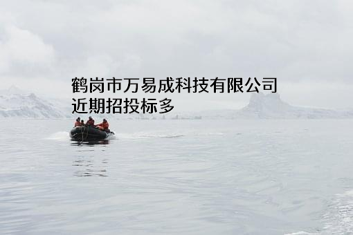 鹤岗市万易成科技有限公司