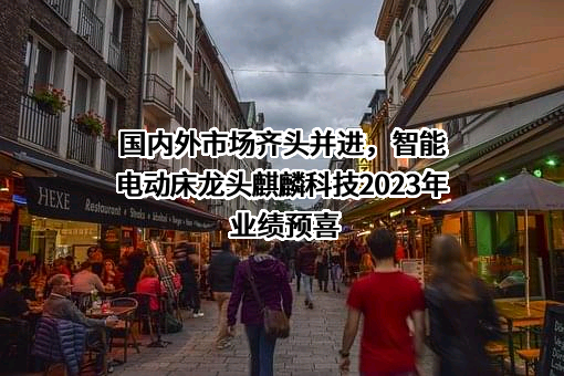 麒盛科技股份有限公司