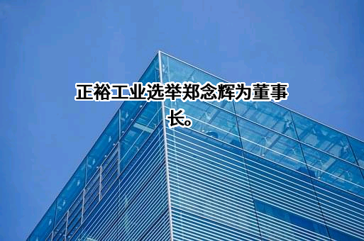 浙江正裕工业股份有限公司