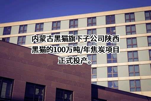 陕西黑猫焦化股份有限公司