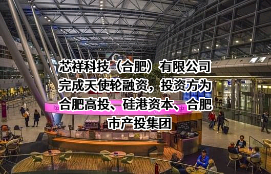 芯祥科技（合肥）有限公司