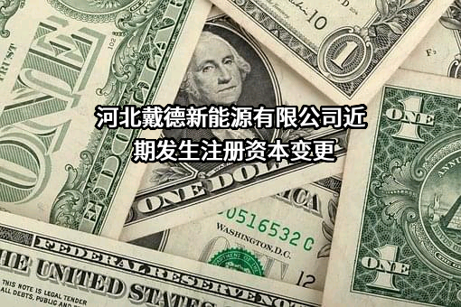 河北戴德新能源有限公司