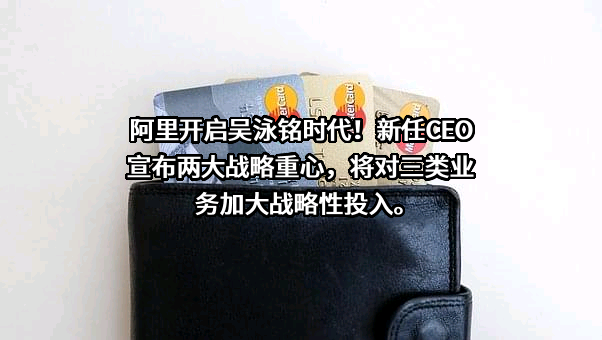 阿里巴巴集团控股有限公司
