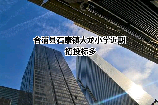 合浦县石康镇大龙小学近期招投标项目多
