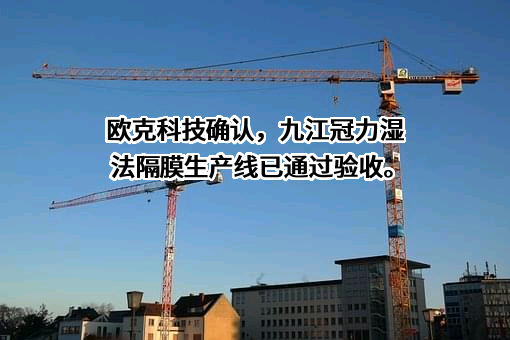 九江冠力新材料有限公司