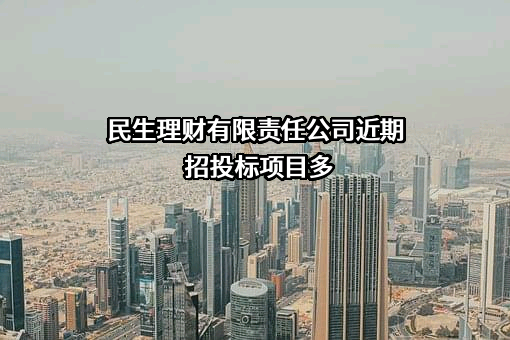 民生理财有限责任公司