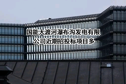 国能大渡河瀑布沟发电有限公司
