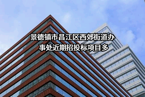 景德镇市昌江区西郊街道办事处近期招投标项目多