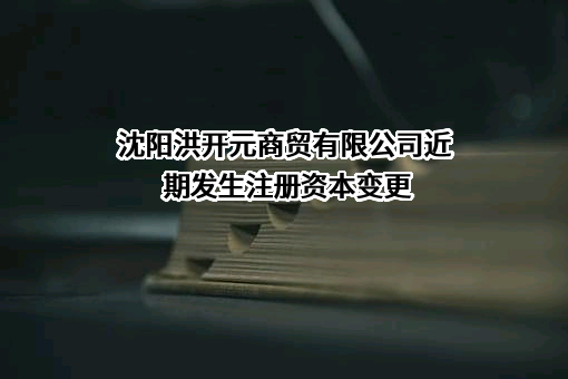 沈阳洪开元商贸有限公司