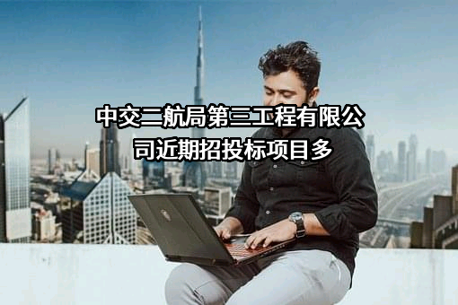 中交二航局第三工程有限公司