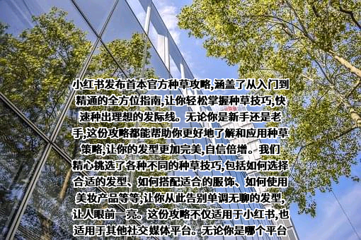 行吟信息科技（上海）有限公司