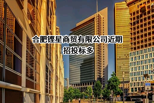 合肥铿星商贸有限公司