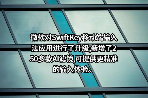 微软（中国）有限公司
