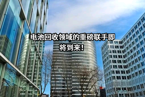 中伟新材料股份有限公司