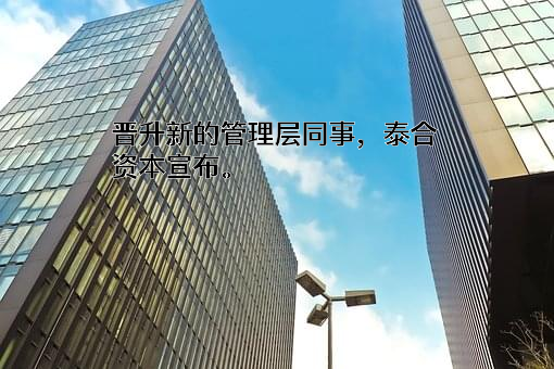 北京泰合鼎诚投资咨询有限公司