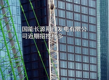 国能长源荆门发电有限公司