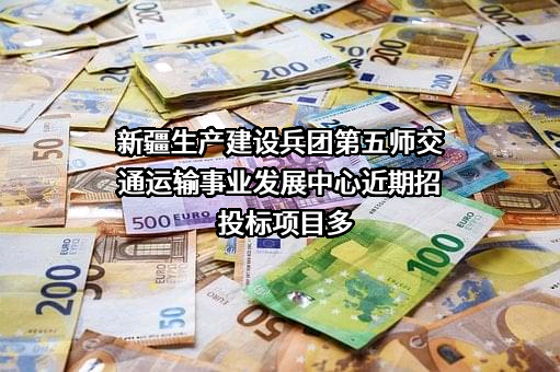 新疆生产建设兵团第五师交通运输事业发展中心