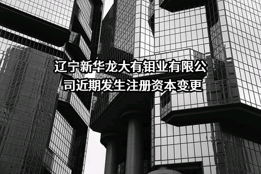 辽宁新华龙大有钼业有限公司