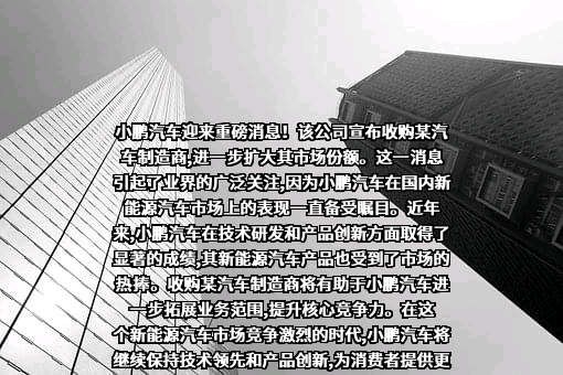 广州橙行智动汽车科技有限公司