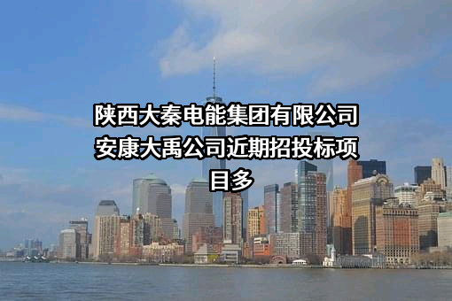 陕西大秦电能集团有限公司安康大禹公司
