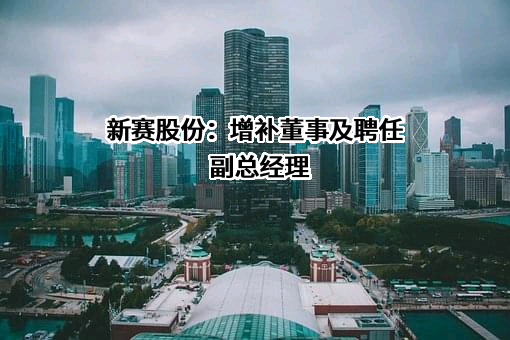 新赛股份：增补董事及聘任副总经理