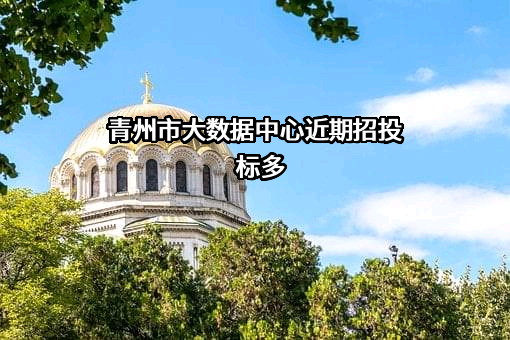 青州市大数据中心