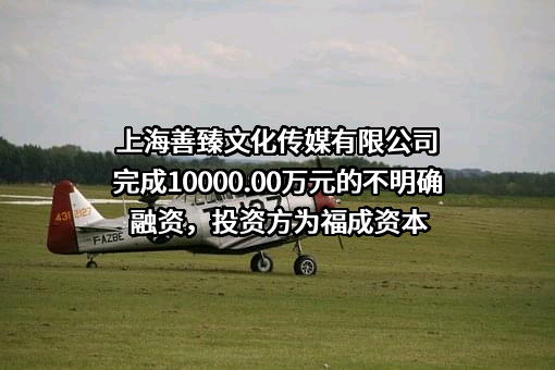 上海善臻文化传媒有限公司