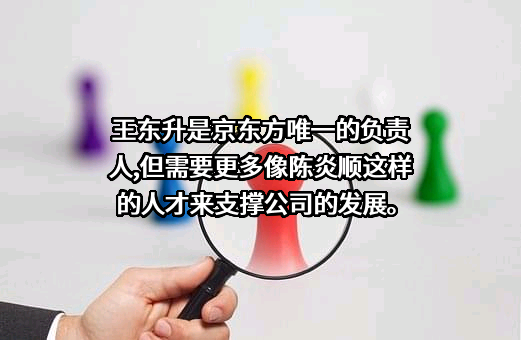 京东方科技集团股份有限公司