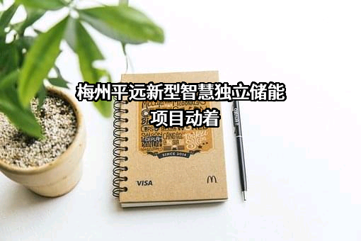 广东梅州平远国有控股集团有限公司