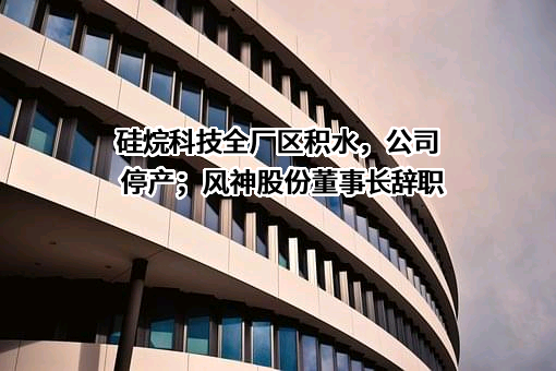 硅烷科技全厂区积水，公司停产；风神股份董事长辞职