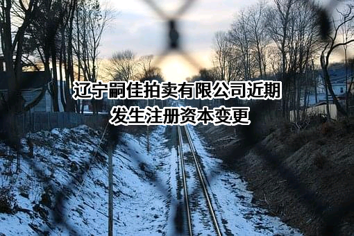 辽宁嗣佳拍卖有限公司