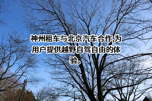 北京神州汽车租赁有限公司