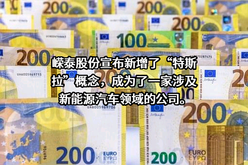 江苏嵘泰工业股份有限公司
