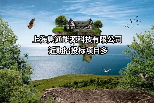 上海隽通能源科技有限公司近期招投标项目多