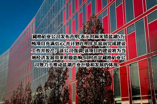 藏格矿业股份有限公司