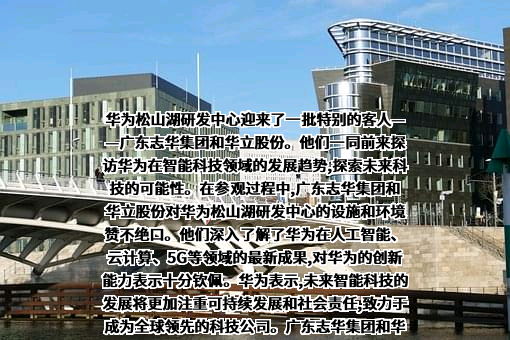东莞市华立实业股份有限公司