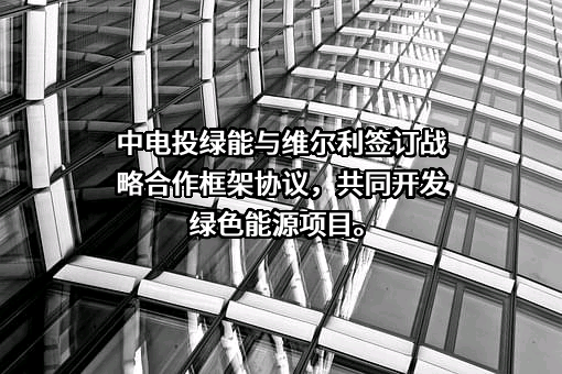 维尔利环保科技集团股份有限公司