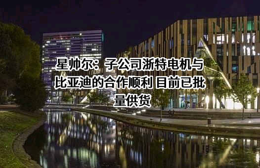 比亚迪股份有限公司