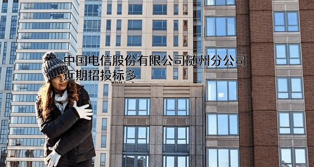 中国电信股份有限公司随州分公司