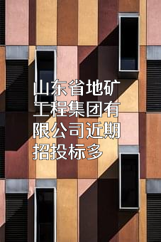 山东省地矿工程集团有限公司
