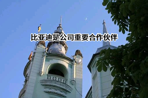 比亚迪股份有限公司
